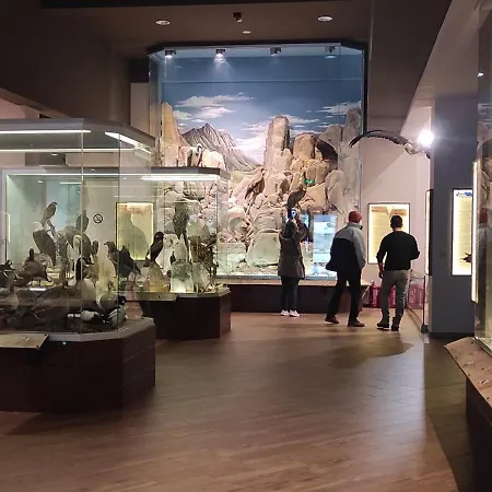 Apartment Mystique Boutique