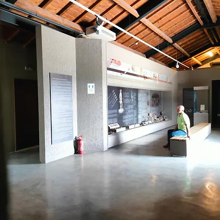 公寓 Mystique Boutique 卡兰巴卡