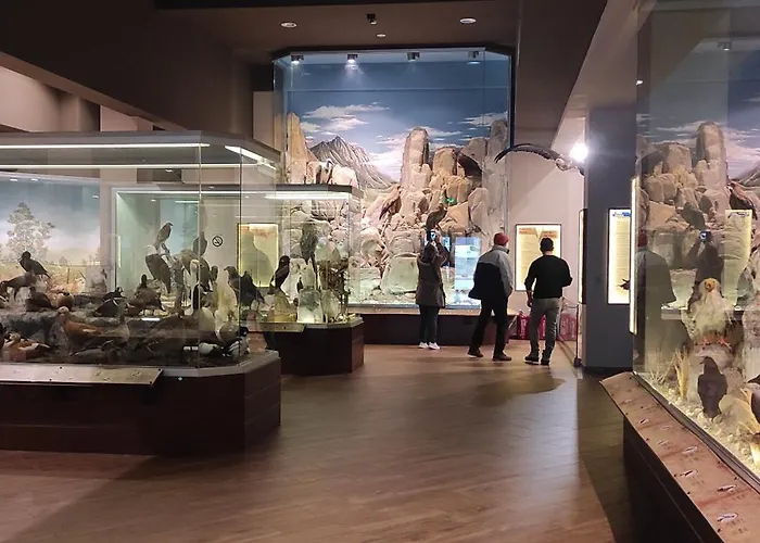 Apartament Mystique Boutique